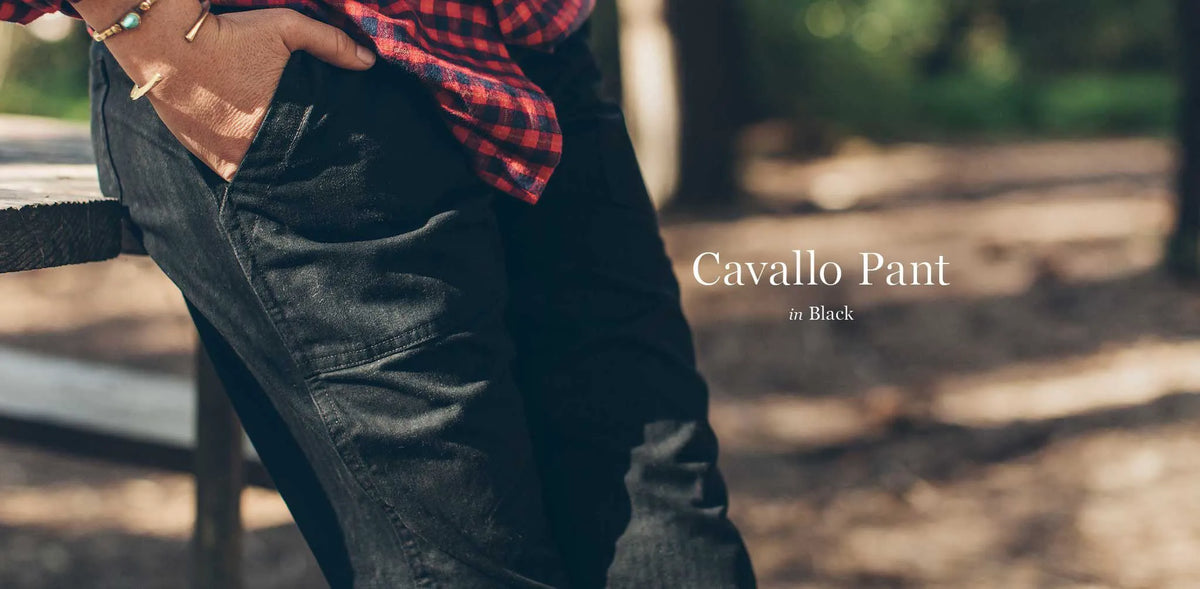 The Cavallo Pant in Black