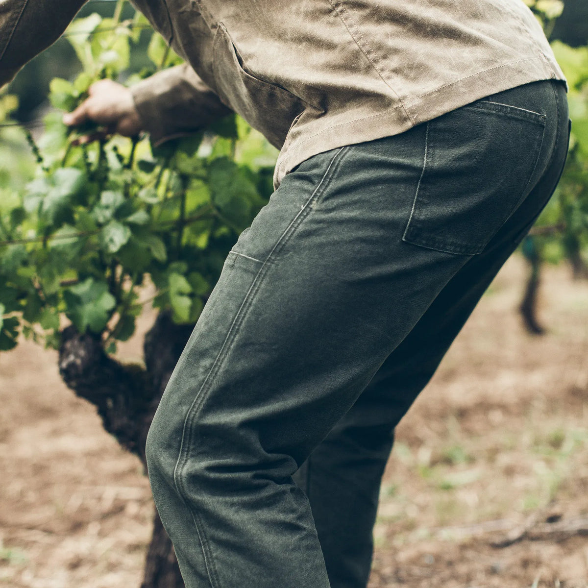 The Chore Pant in Washed Olive