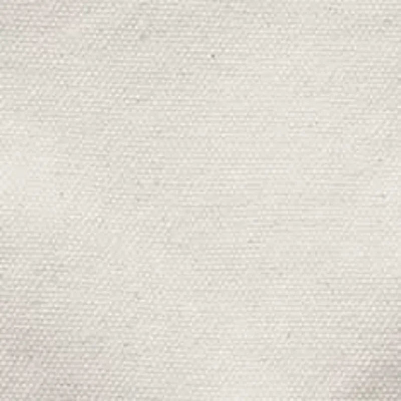 The Painter Pant in Seeded Natural Chipped Canvas