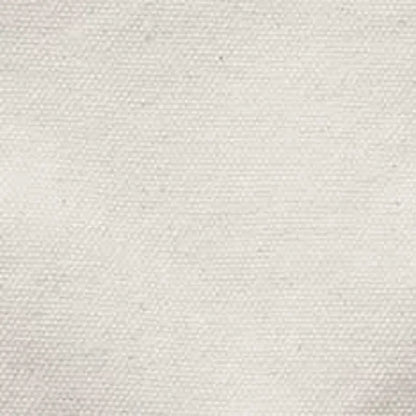 The Painter Pant in Seeded Natural Chipped Canvas