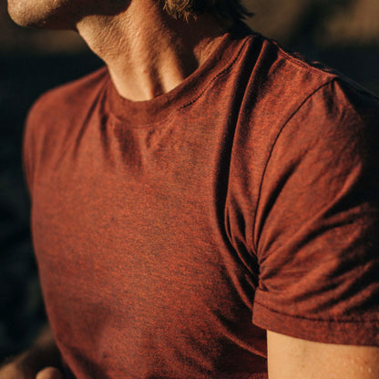 The Cotton Hemp Tee in Rust and Navy Stripe