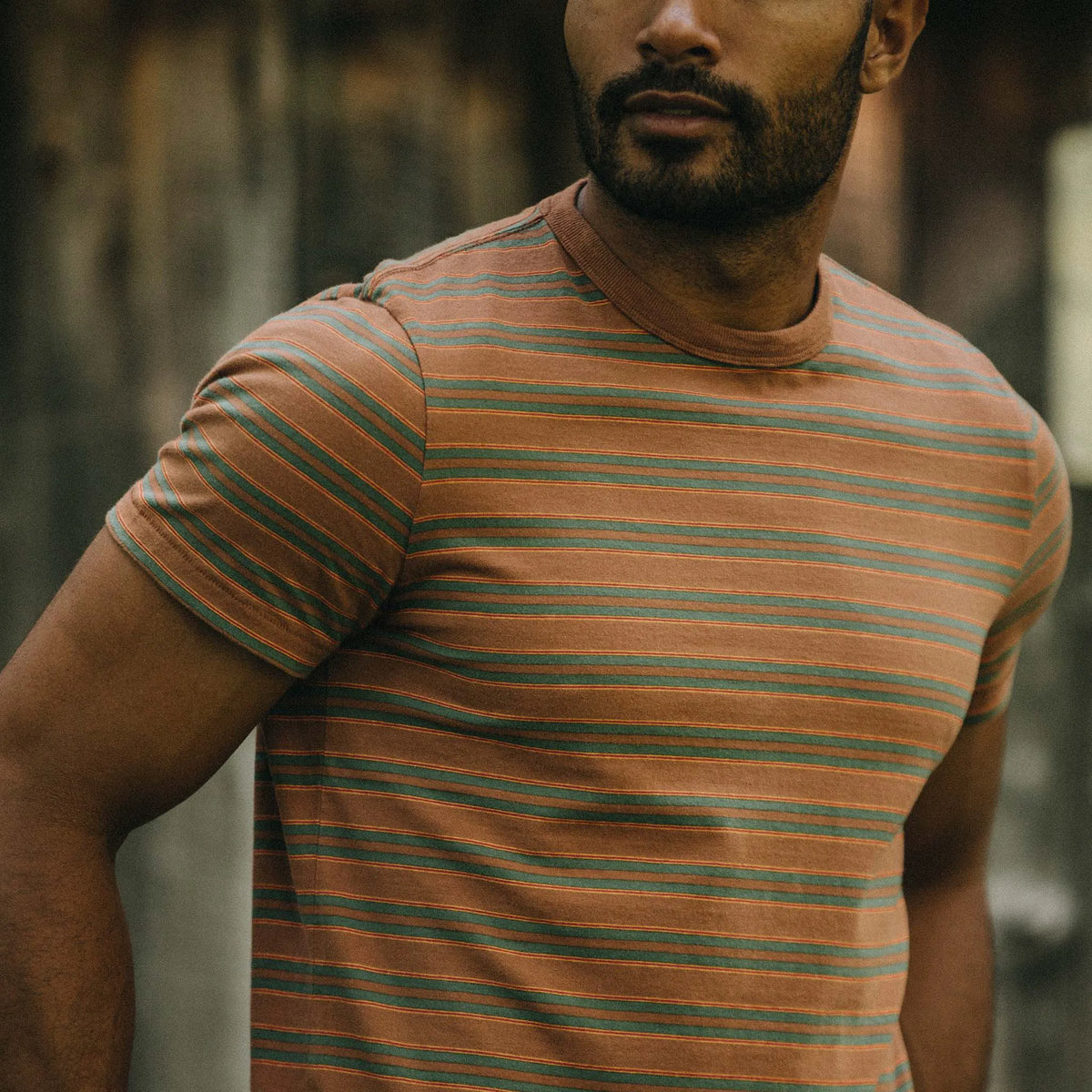 The Organic Cotton Tee in Sahara Stripe