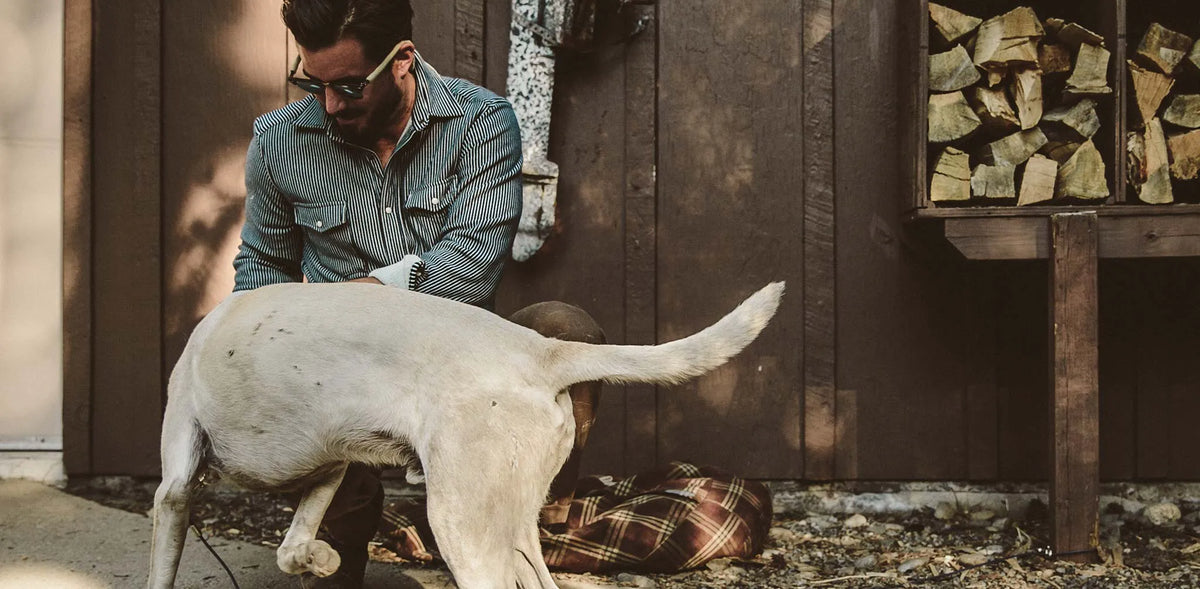 The Glacier Shirt in Hickory Stripe French Terry